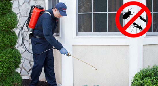 Keles Hamam Böceği İlaçlama böcek ilaçlama ve haşere kontrolü — ilaclama-tr.com